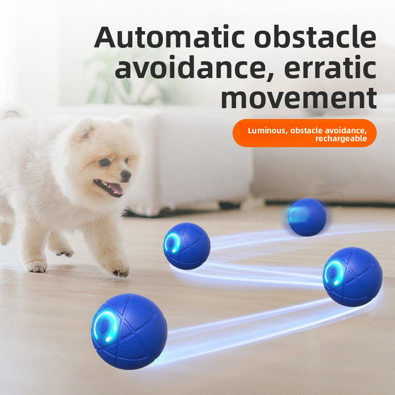 Smart Dog Gravitational Ball