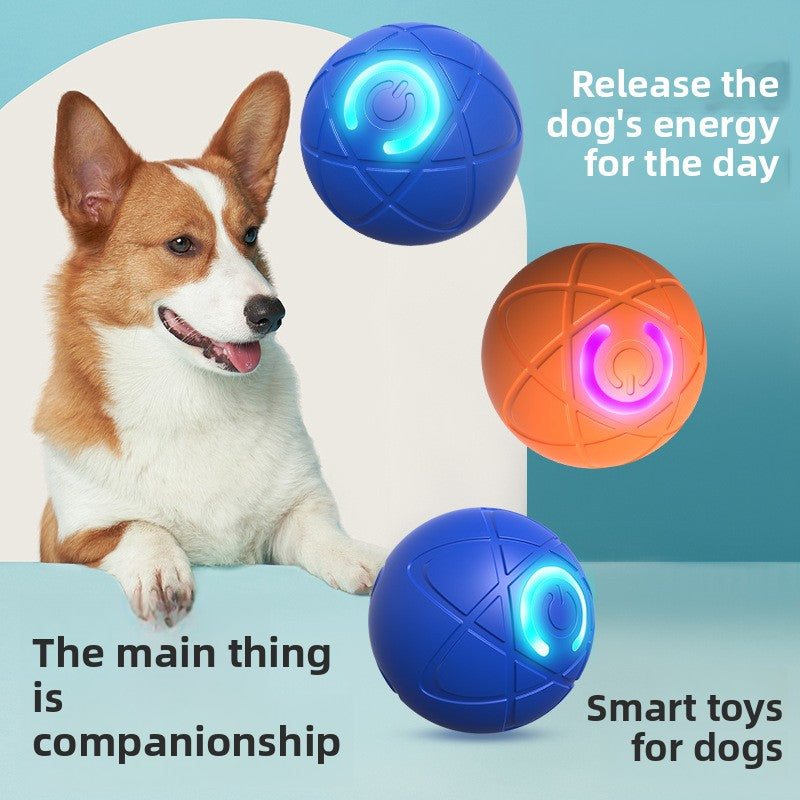 Smart Dog Gravitational Ball